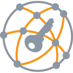 Network licensing icon