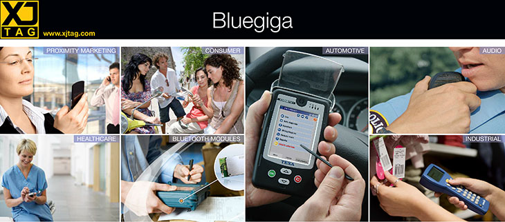 Bluegiga case study header