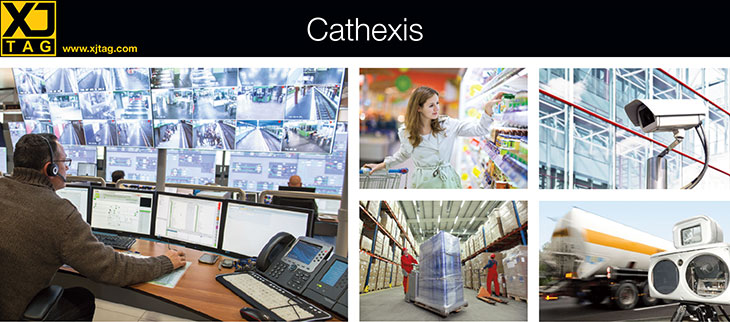 Cathexis case study header